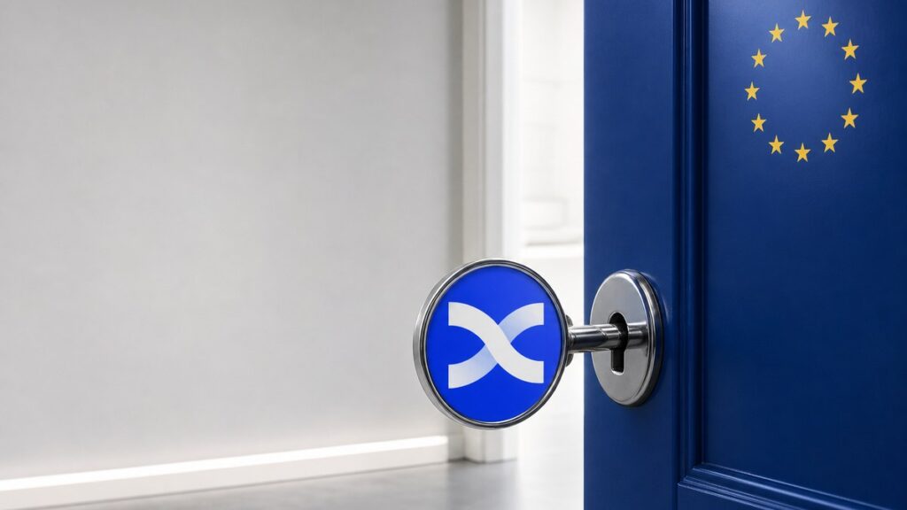 Ein Stahlschlüssel mit dem blauen BingX-Zeichen steckt im Schloss einer halb geöffneten dunkelblauen Tür, auf der die zwölf goldenen Sterne der EU-Flagge stehen.